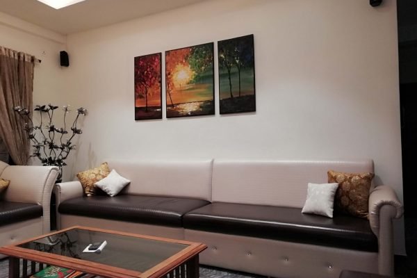 IMG20190514221916_qxnjg_3264